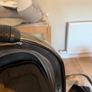 Egg 2 travel system Image 6