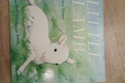 Little Lamb Soft to Touch Book