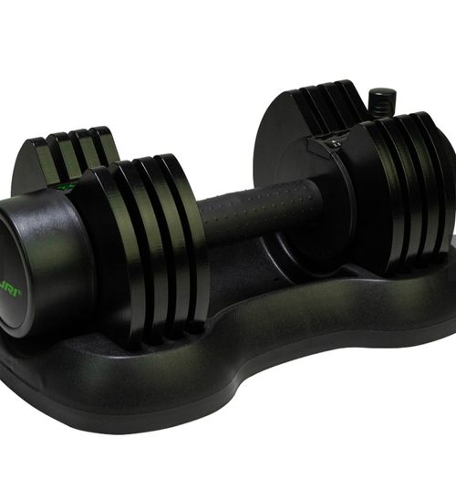 Selector Dumbbell up to 12.5kg each (x2)