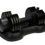 Selector Dumbbell up to 12.5kg each (x2) Image 2