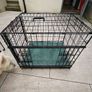 dog crate Image 2