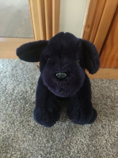 Bundle of 2 Soft Toy Dogs Keel Toys and Primark Plushies