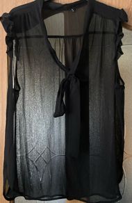 Sheer Sleeveless Blouse