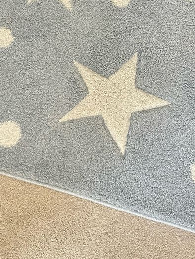 Rug- High-Quality Thick Pile Rug