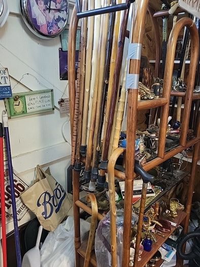 Walking stick telescopic