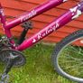 Raleigh Ladies Mountain Bike Image 7