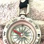 Mullingar Pewter Compass Image 2