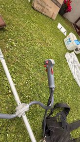 grass strimmer (it's not new , around 10 years old )