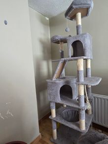 Cat Tree, Bed, and Crate