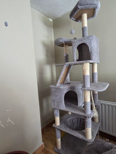 Cat Tree, Bed, and Crate