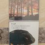 Pulp 7 CD Lot Image 6