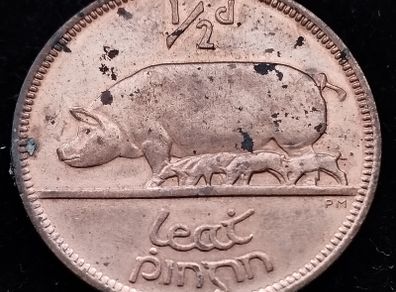 [#2668] - Ireland 1966 | Irish 1/2d | Irish Half Penny | KM.10