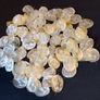 Dried Lunaria (Honesty) seed heads. 100 pieces. Image 2