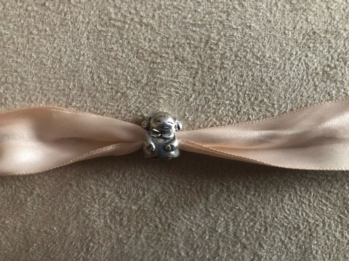 Genuine Pandora charm