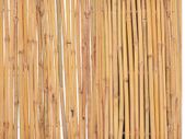 Bamboo Fence 500x50 cm