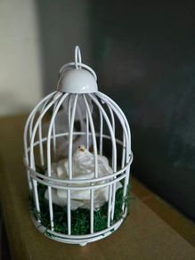 Mini Birdcages