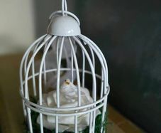 Mini Birdcages