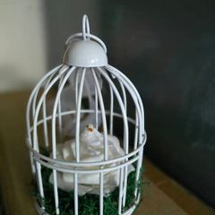 Mini Birdcages