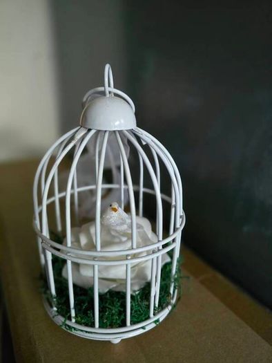 Mini Birdcages