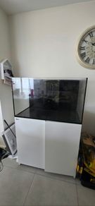 Red Sea Reefer 250