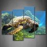 BNIB Turtle Canvas Image 2