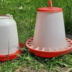 Chicken accessories
