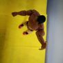 WWE Batista the Animal Action Figure Image 3