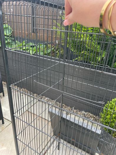 XL bird cage
