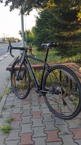 Trek Checkpoint ARL 5