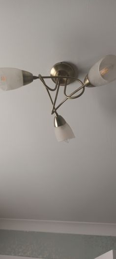 ceiling  light