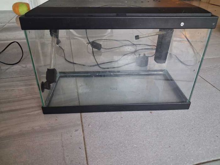 Fish tank