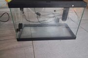 Fish tank