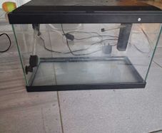 Fish tank