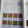 Book - How to Garden Image 4