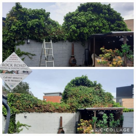 Garden maintenance