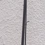 Lot 4:  Clearance Sale.   Sea / Coarse Rods Image 2