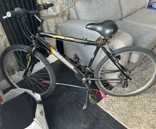 Adult Mountain Bike