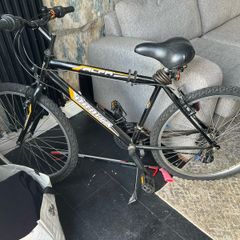 Adult Mountain Bike