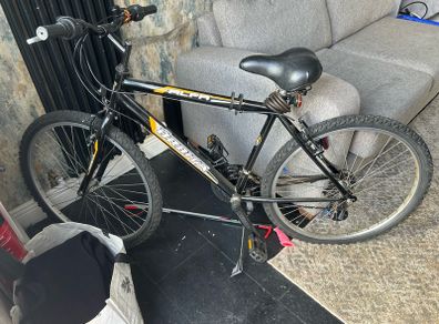 Adult Mountain Bike