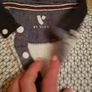 Boys Polo Tshirt Bundle Image 4