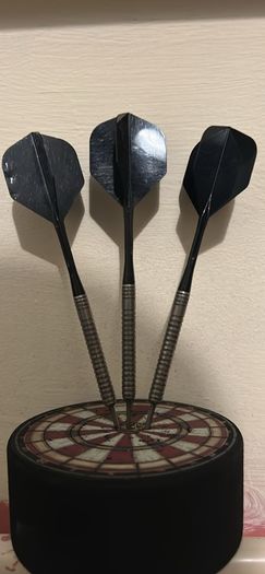 Navigator darts