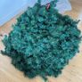 Christmas tree Image 2