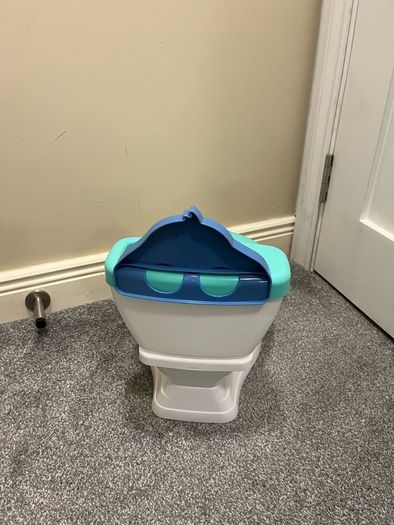 Disney bright starts potty