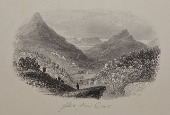 Glen of the Downs Wicklow 1863 Antique Print