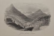 Glen of the Downs Wicklow 1863 Antique Print