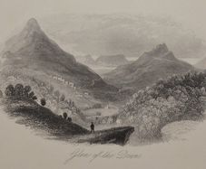 Glen of the Downs Wicklow 1863 Antique Print
