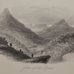 Glen of the Downs Wicklow 1863 Antique Print