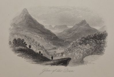 Glen of the Downs Wicklow 1863 Antique Print