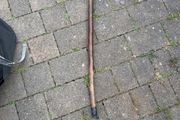 walking stick