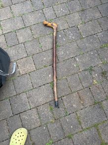 walking stick